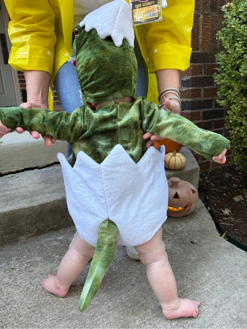 Baby Green Dinosaur Egg Halloween Costume - Pottery Barn